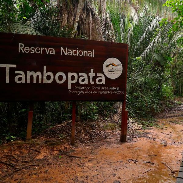 Tours en Tambopata  desde Colombia