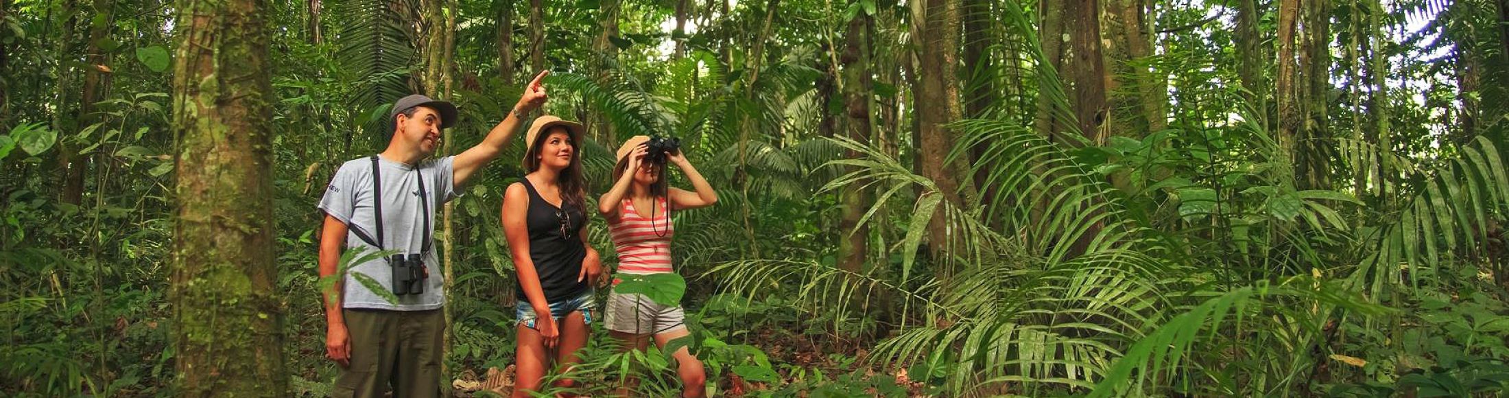 Reserva Tambopata, Puerto Maldonado  desde Colombia