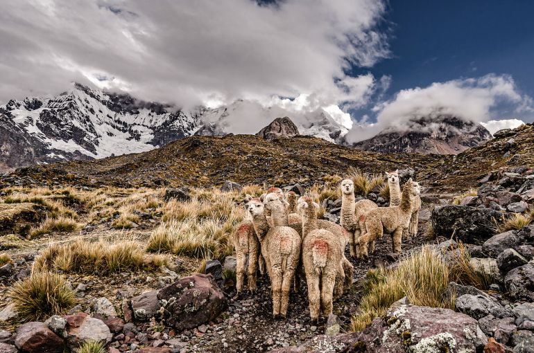 Machu Picchu desde Colombia