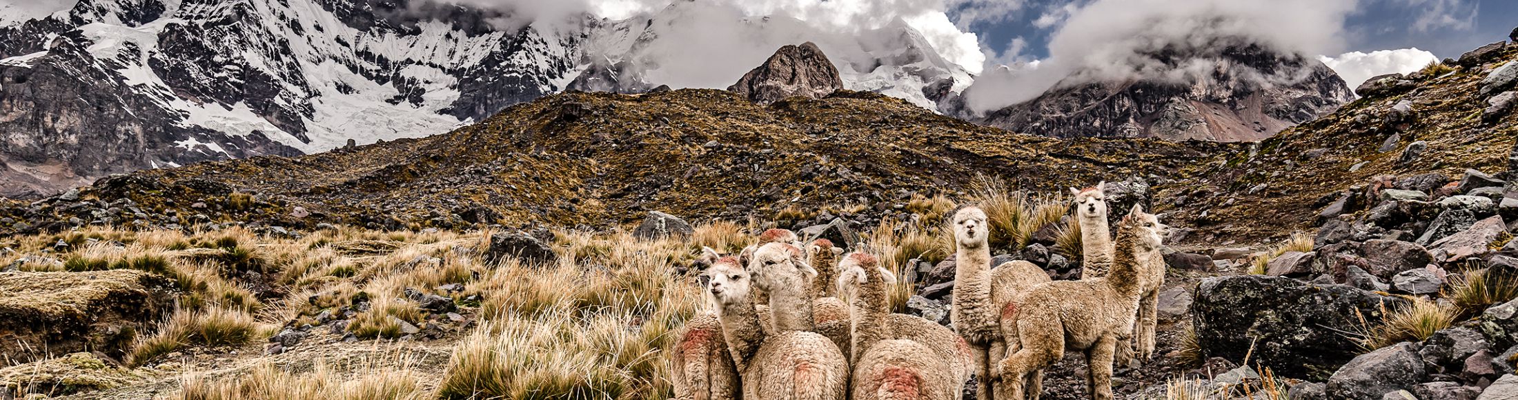 Machu Picchu 8D7N Viajero (Full Aventura Tendencia)  desde Colombia