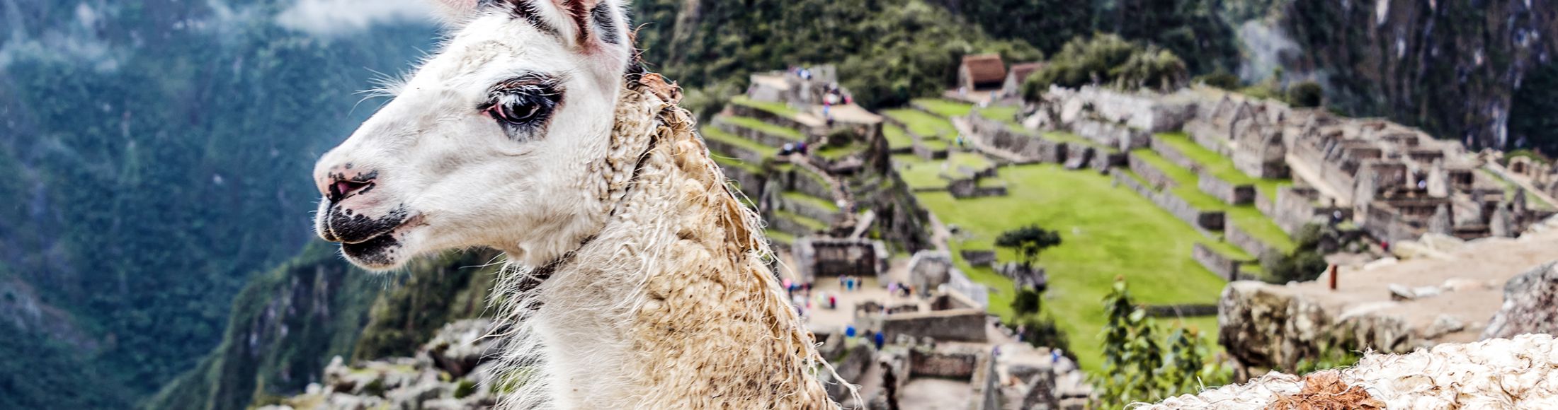 Machu Picchu 8D7N Viajero (Full Cultural)  desde Colombia