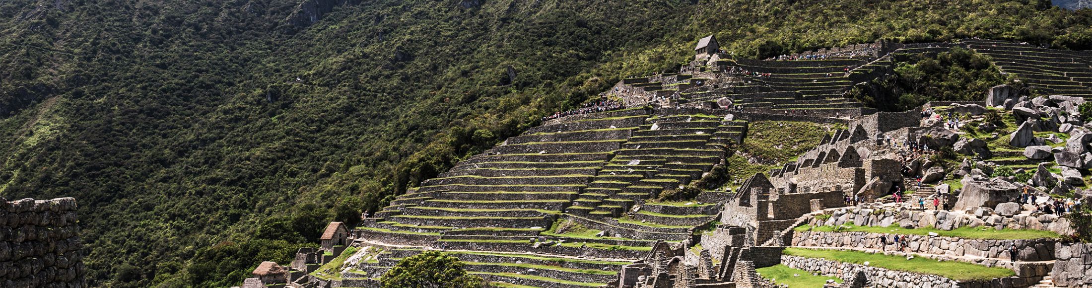Machu Picchu 8D7N Viajero (Aventura Clásica)  desde Colombia