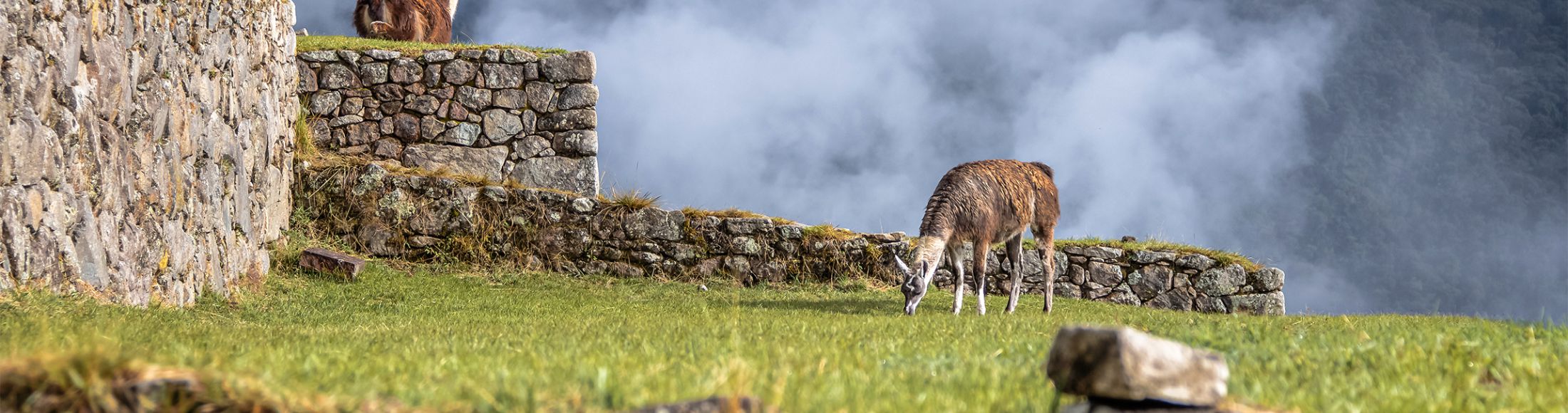 Machu Picchu 4D3N Viajero (Cultural Aventura)  desde Colombia