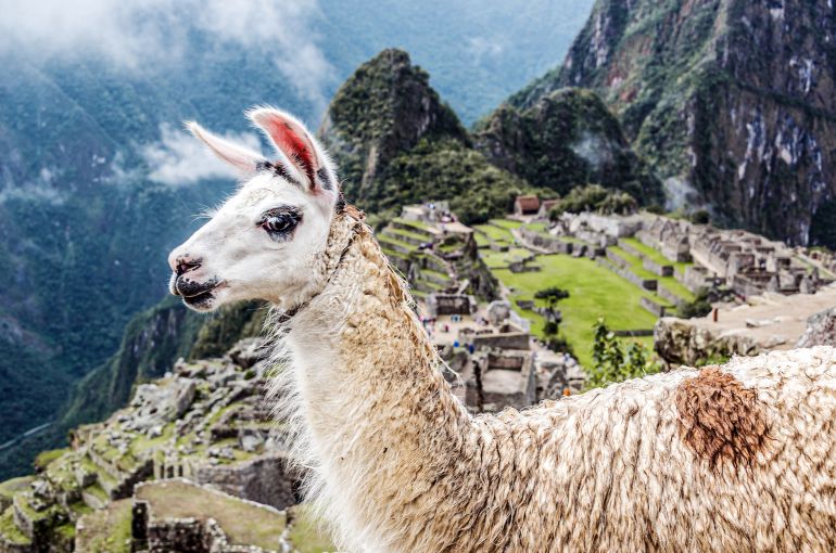 Machu Picchu desde Colombia