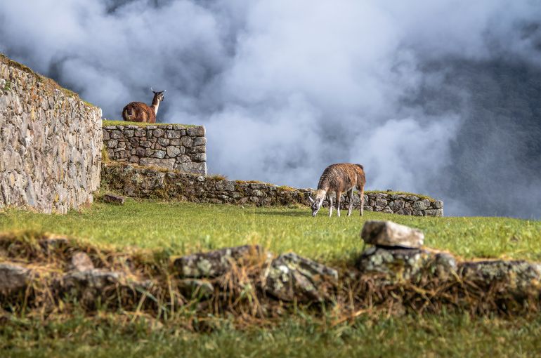 Machu Picchu desde Colombia